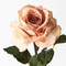 Floral Decoration: Peach Livia Rose