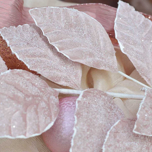 Snow Dusted Pink Leaves
