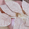 Snow Dusted Pink Leaves