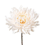 Floral Decoration: Cream Dahlia Spray