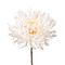Floral Decoration: Cream Dahlia Spray