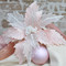 White Glittered Pink Poinsettia