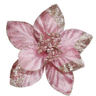 Pink Champagne Poinsettia on Clip 