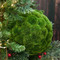 Christmas Moss Ball Large Display