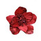 Red Poinsettia on Clip 