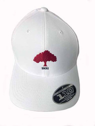 Callaway Rutherford 1931 Flexfit Hat (Adjustable) 2022 Golf Cap NEW