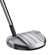 Taylor Made Spider GT Rollback Putter (Silver, Mallet, Small Slant) NEW