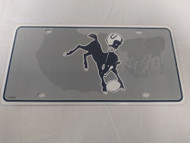 NFL Team License Plate (Indianapolis Colts, Colt) NEW