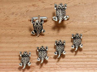 Texas Horned Toad Set