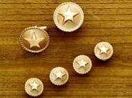 Gold Frosted Rope Star Set