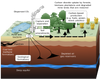 Carbon Capture