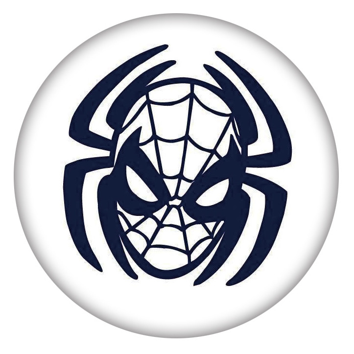 pe inspired black spiderman