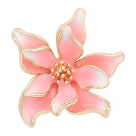 FLOWER - GLADIOLUS FANTASY PINK
