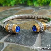 LUXE SS WIRE BANGLE - DYNASTY (SILVER & ROYAL)