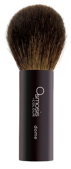 Osmosis +Colour Dome Powder Brush
