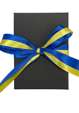 Past District Governor Medal - Presentation Box