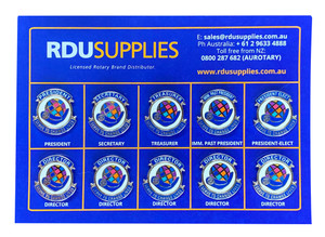 Rotary 2021-22 Theme Directors Lapel Pin Set