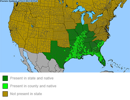 asclepias-perennis-native-range-map.jpg