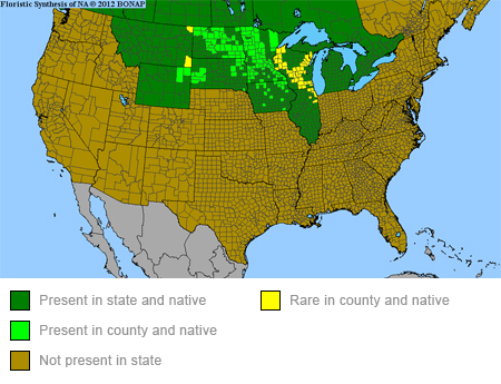 oval-leaf-milkweed-range-map-450x345.jpg