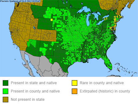 whorled-milkweed-range-map-450x345.jpg