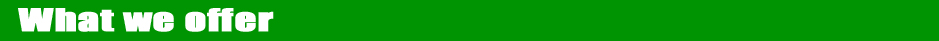 what-we-offer-edited-2.jpg what-we-offer-edited-2.jpg