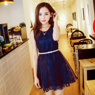 Lace Mesh Dress with Belt