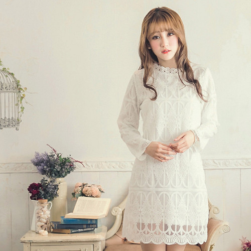 Mesh Peak Collar Lace Dress