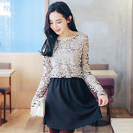 Palace Style Lace Stitching Dress