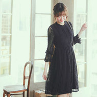 Collared A Line Lace Dress 