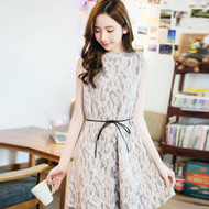 Lady Lace Sleeves Dress