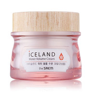 the SAEM Iceland Water Volume Cream For Dry Skin