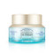 THE FACE SHOP The Therapy Royal Made Moisture Blending Formula Cream 