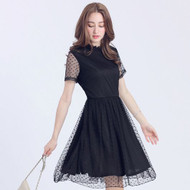 Polka Dot Lace Dress