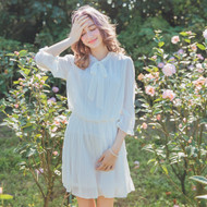 Lace Embroidery Pleated Dress