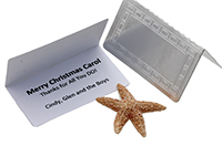 gift-card-insert-from-by-the-sea-jewelry.jpg