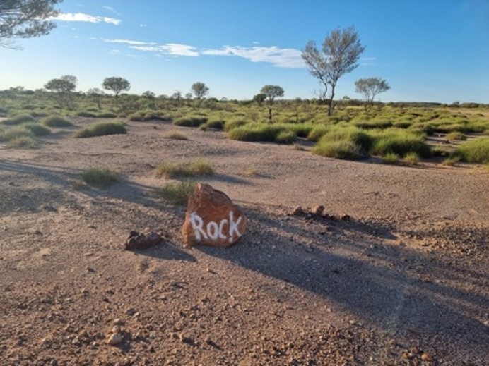 outback-pic-10.jpg