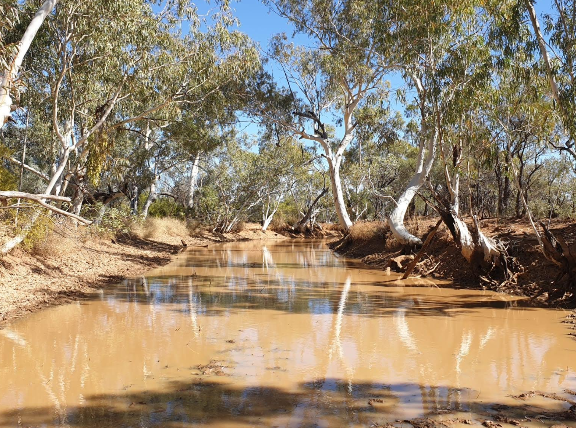 Digging for Opal in Outback Australia - Australian Opal Direct