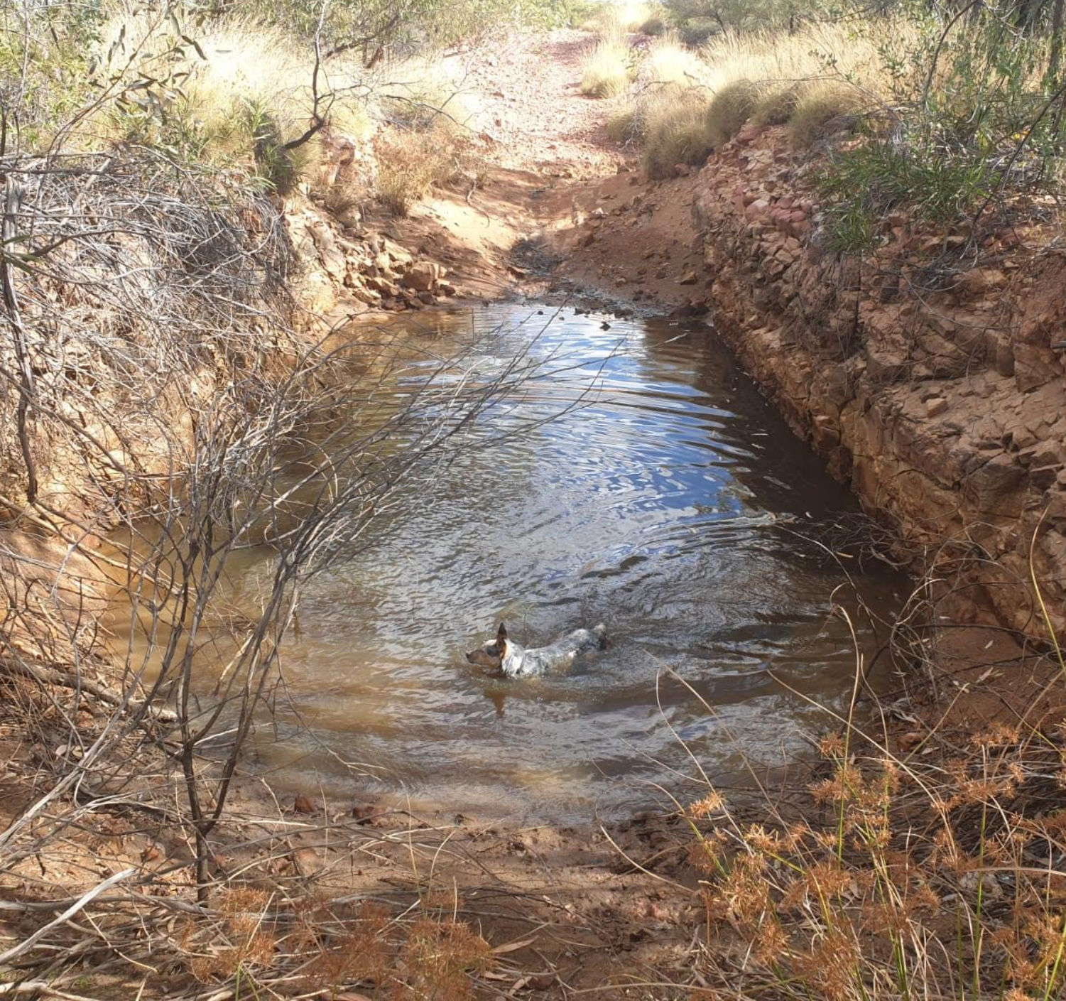 Digging for Opal in Outback Australia - Australian Opal Direct