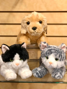 Goldie dog, Oreo cat and Lily cat