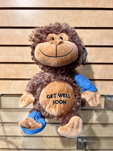 Get Well Monkey