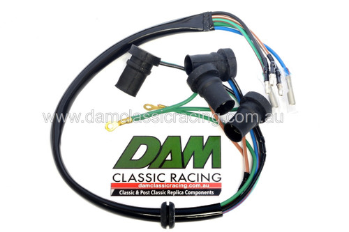 Wiring Lighting Loom ND Speedo/Tacho. Actual wire colors may vary from image