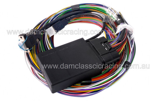 Ignitech Ignition DCCDIP1 (Race)