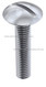 Slotted Mushroom Screw
