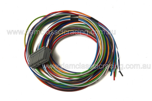 Ignitech wiring loom for DCCDIP2