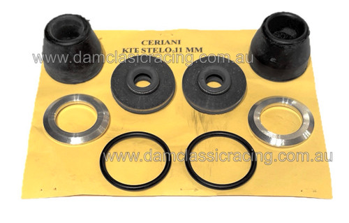 Seals for Ceriani Shock Absorbers
