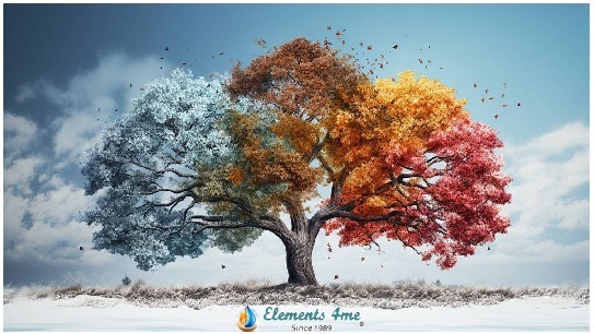tree-presentation-45-with-logo.jpg