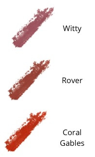 E) Cheeks & Lips 2 in 1 Color Stick - Elements Skin Care Formulations