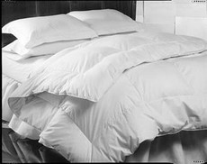 DOWNLITE - Enviroloft Down Alternative Comforter