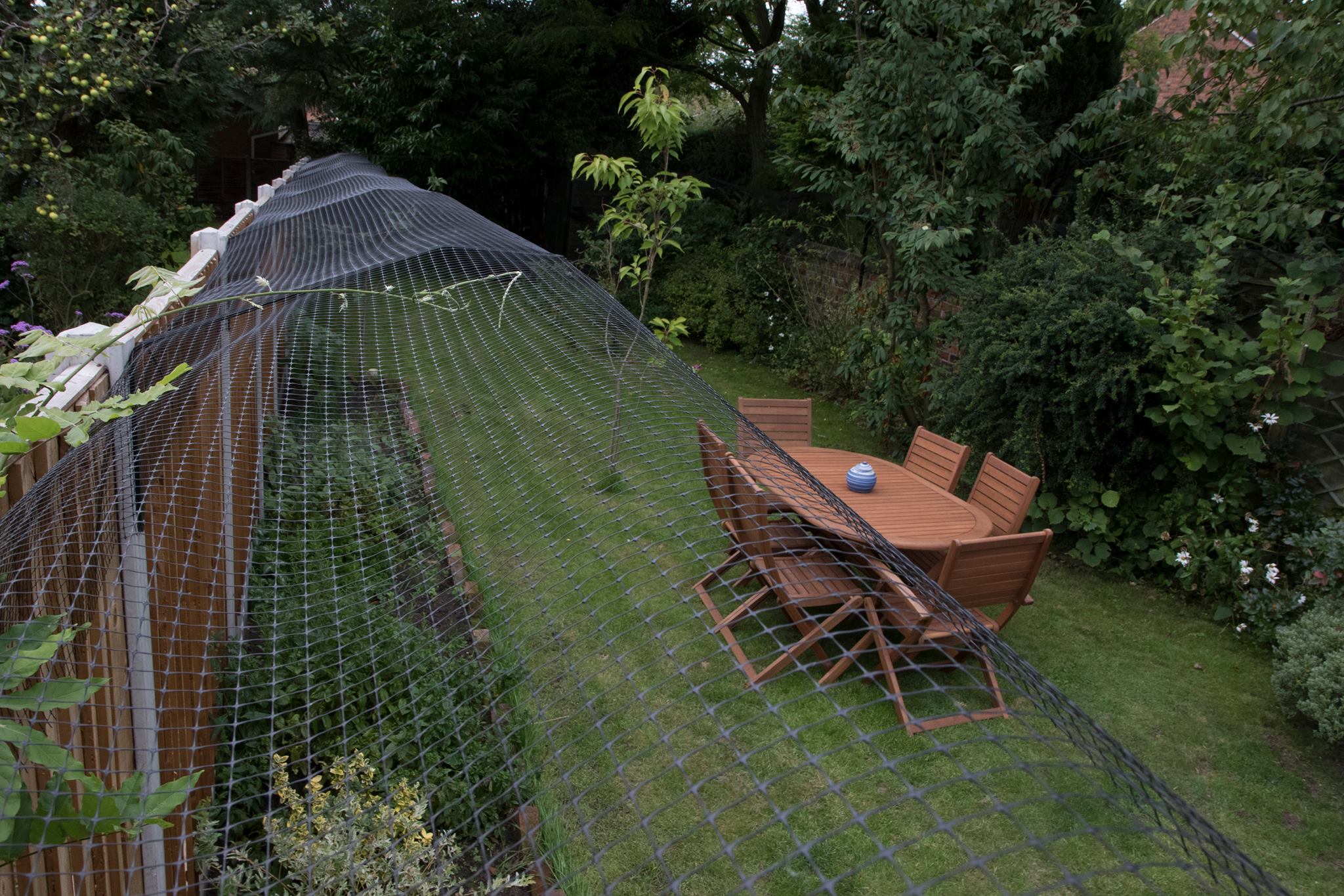 cat fence garden