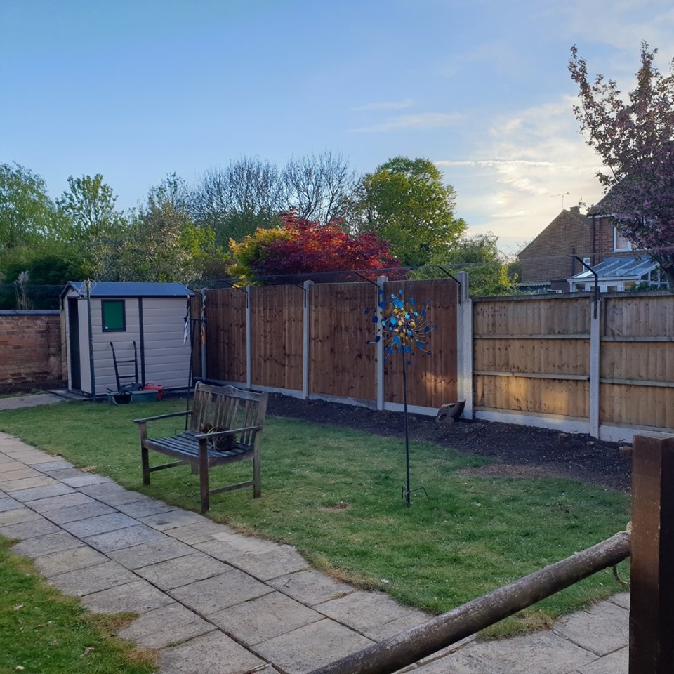 Do Electric Fences Work on Cats? ProtectaPet